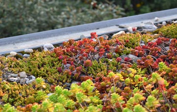the cost of Huttons Ambo green roof installation