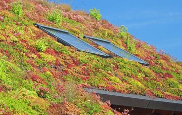 Huttons Ambo living roof systems